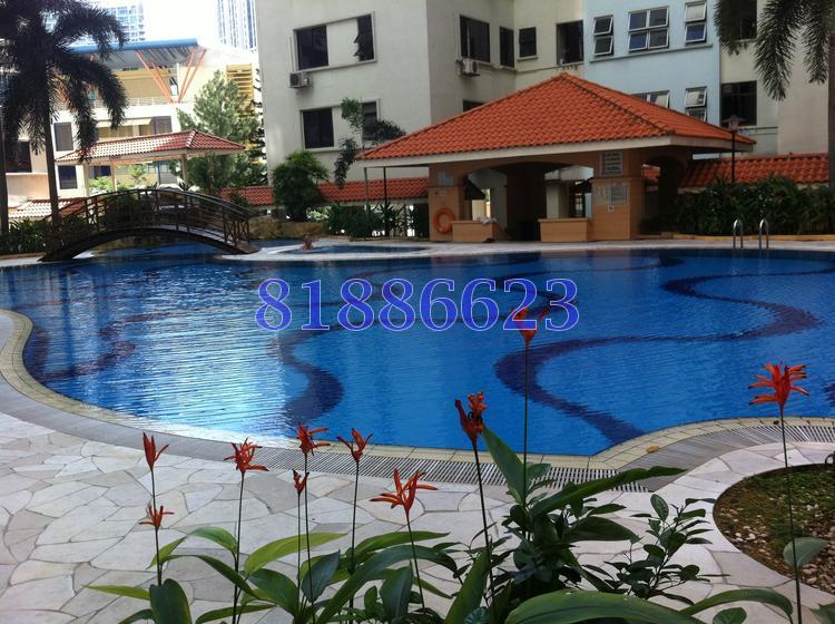Pacific Mansion (Enbloc) (D9), Apartment #85237262